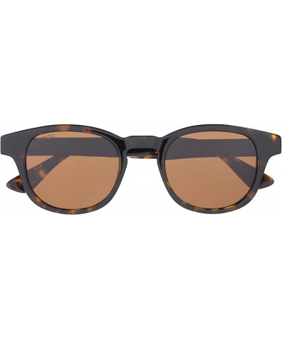 Wayfarer Lion Round Sunglasses - Gloss Tort - CE188KIXTR8 $30.57