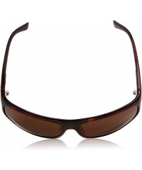 Wrap Women's Outline Wrap Sunglasses - Gloss Tort - CH126HXFTAF $55.05