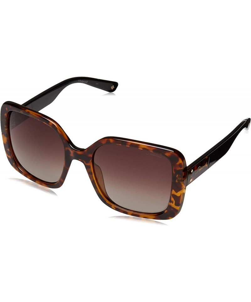 Square Women's PLD4072/S Square Sunglasses - Dark Havana/Polarized Brown Gradient - 55mm - CT18II4X0UH $57.57