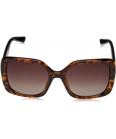 Square Women's PLD4072/S Square Sunglasses - Dark Havana/Polarized Brown Gradient - 55mm - CT18II4X0UH $57.57
