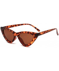 Cat Eye Sunglasses Triangle Vintage Ladies Glasses - C6clearbrown - C3199EI64IC $16.18